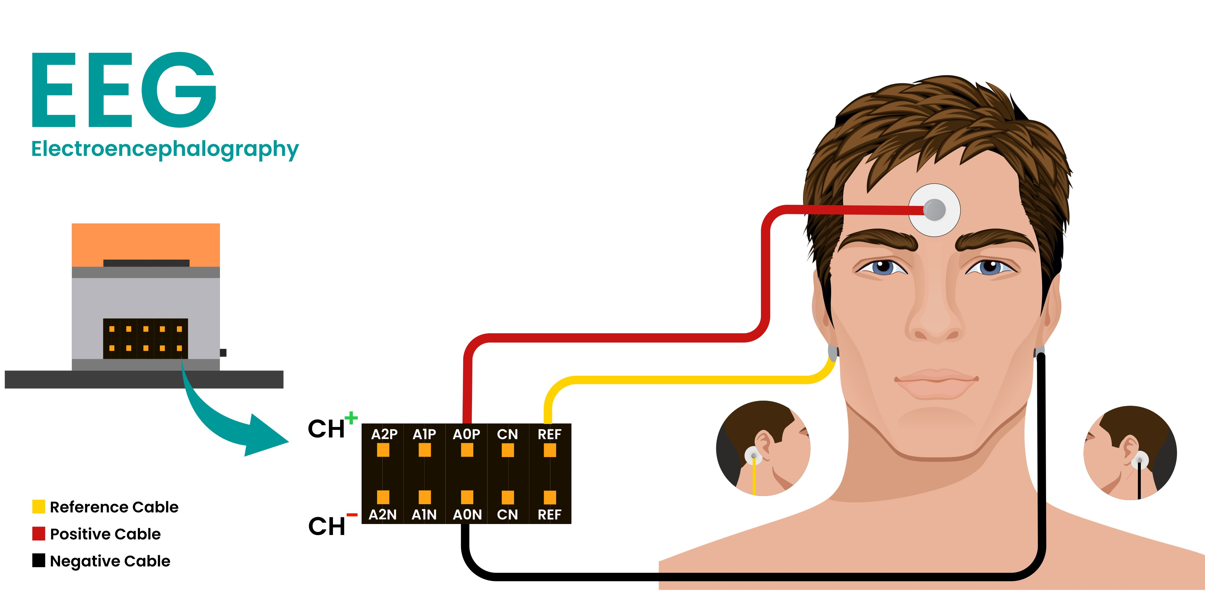 Connection for EEG